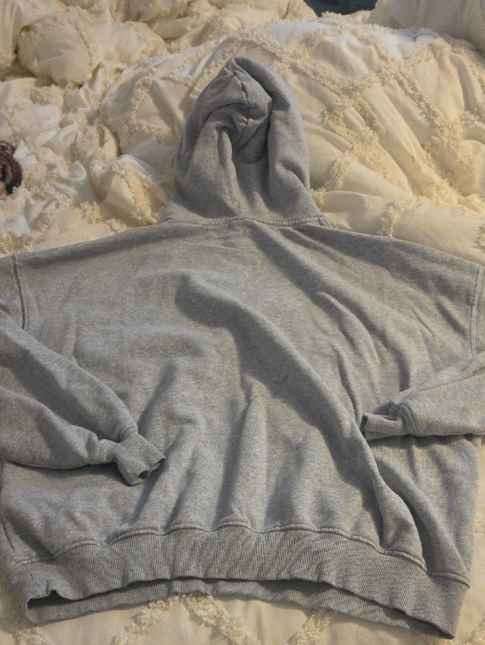 Gymshark Gray Hoodie with Teal Graphic - Picture 6 of 6
